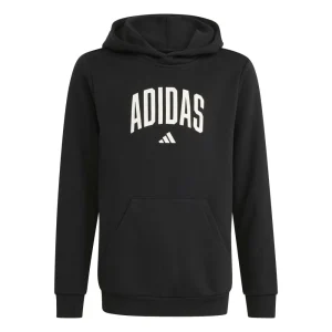 Adidas Felpa J Colleg Hd Bambino KA2990